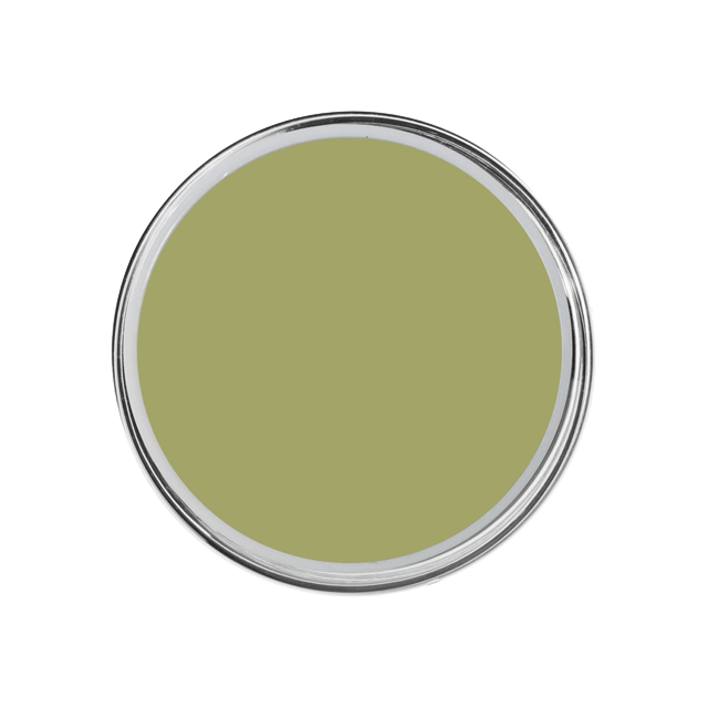 Color Gel Paint Olive