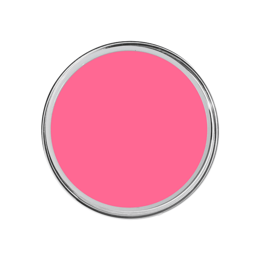 Color Gel Paint Princess